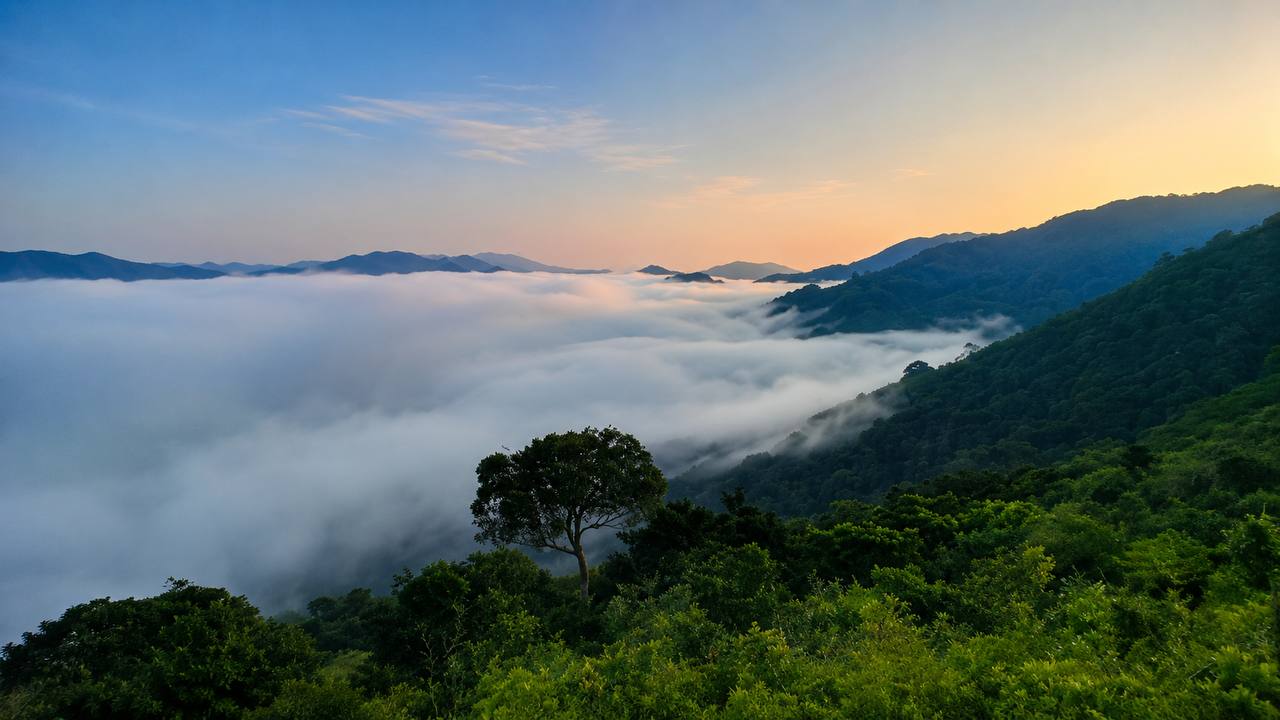araku valley to lambasingi tour package